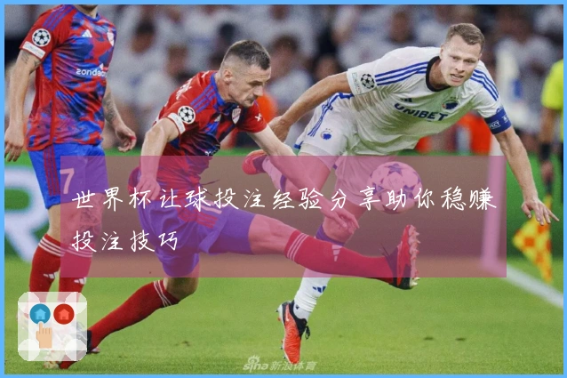 世界杯让球投注经验分享助你稳赚投注技巧