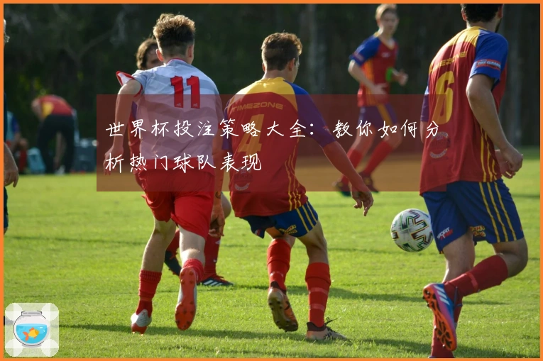世界杯投注策略大全：教你如何分析热门球队表现