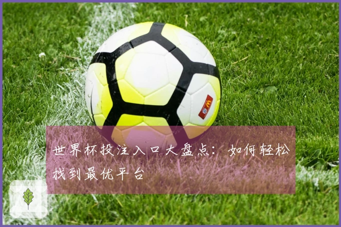 世界杯投注入口大盘点：如何轻松找到最优平台