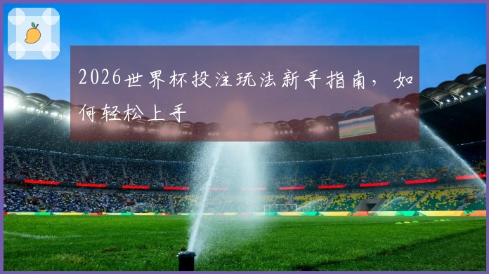 2026世界杯投注玩法新手指南，如何轻松上手