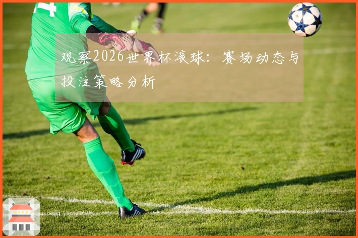 观察2026世界杯滚球：赛场动态与投注策略分析