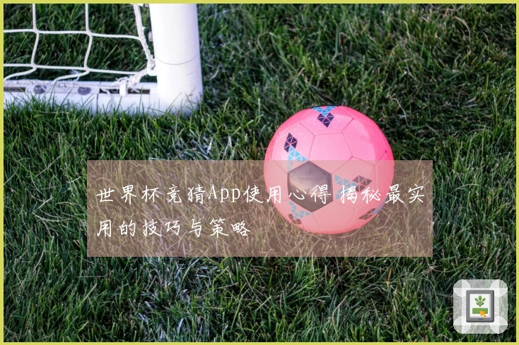 世界杯竞猜App使用心得 揭秘最实用的技巧与策略