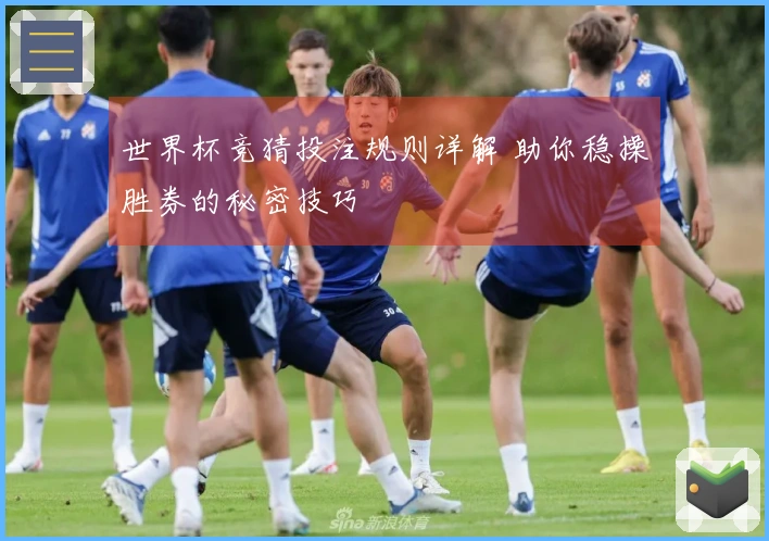 世界杯竞猜投注规则详解 助你稳操胜券的秘密技巧