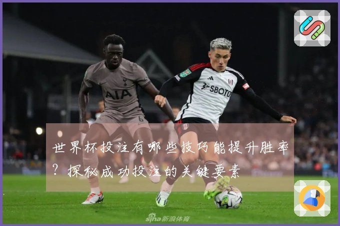 世界杯投注有哪些技巧能提升胜率？探秘成功投注的关键要素