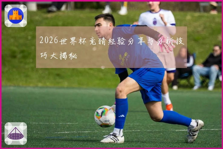 2026世界杯竞猜经验分享与分析技巧大揭秘