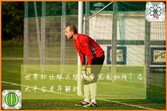 世界杯让球买球赔率究竟如何？各大平台差异解析