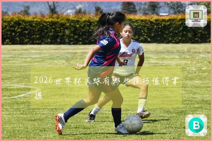 2026世界杯买球有哪些技巧值得掌握