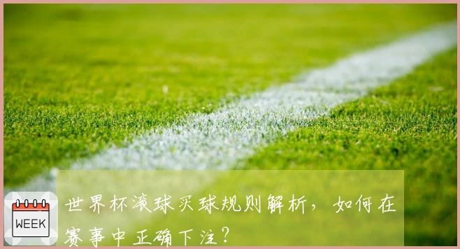 世界杯滚球买球规则解析，如何在赛事中正确下注？