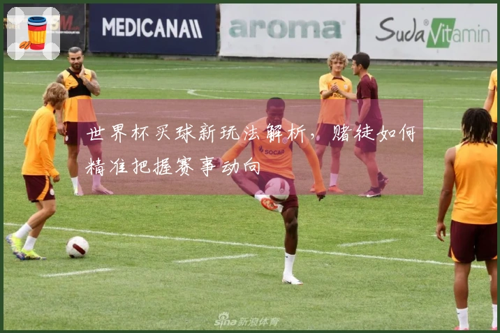 世界杯买球新玩法解析，赌徒如何精准把握赛事动向