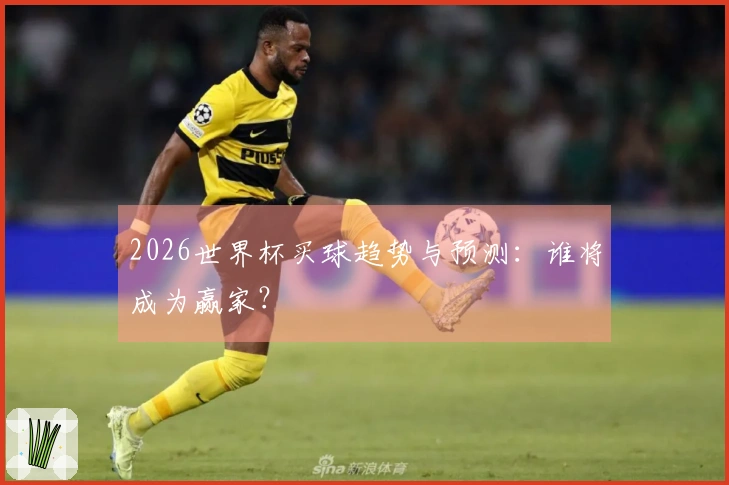 2026世界杯买球趋势与预测：谁将成为赢家？