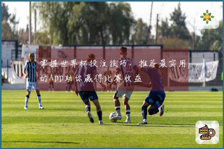 掌握世界杯投注技巧，推荐最实用的App助你赢得比赛收益