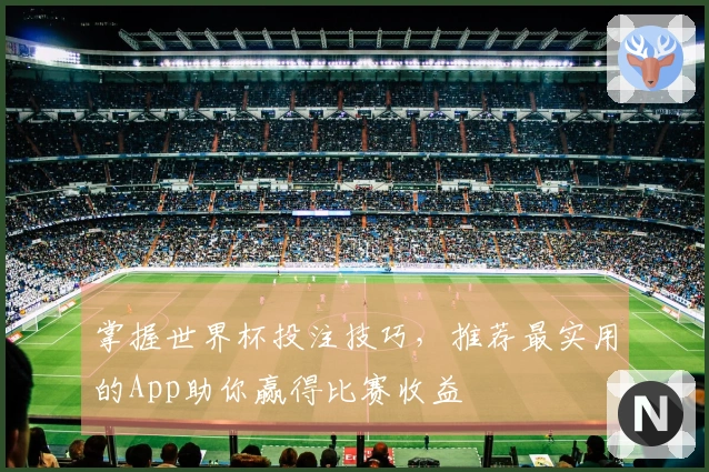 掌握世界杯投注技巧，推荐最实用的App助你赢得比赛收益