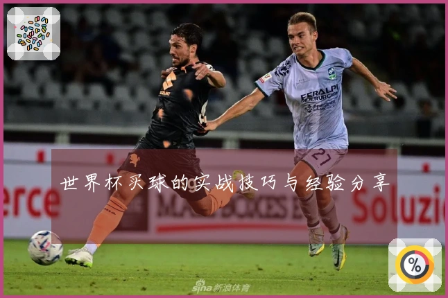 世界杯买球的实战技巧与经验分享