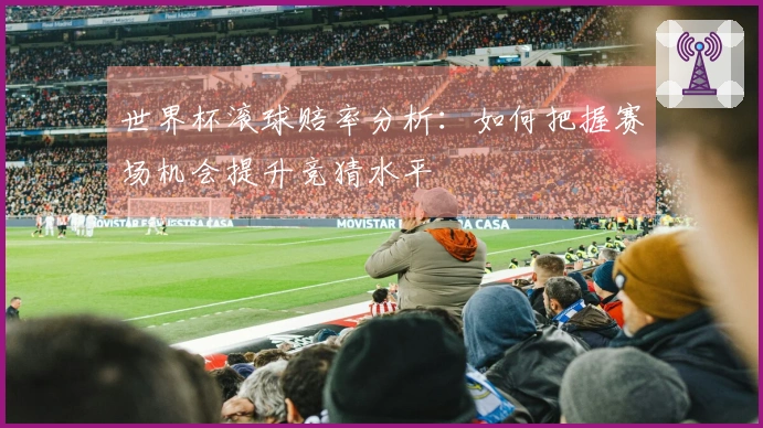 世界杯滚球赔率分析：如何把握赛场机会提升竞猜水平