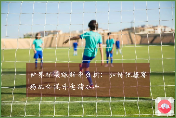 世界杯滚球赔率分析：如何把握赛场机会提升竞猜水平