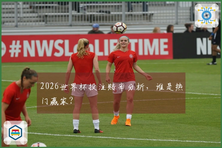 2026世界杯投注赔率分析，谁是热门赢家？